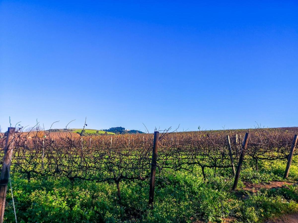 401 Rozendal Cottages Stellenbosch Kültér fotó