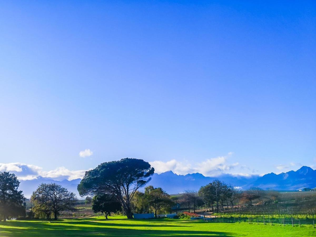 401 Rozendal Cottages Stellenbosch Kültér fotó